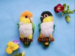ふわふわシロハラインコの羊毛フェルトブローチ