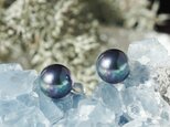 大粒★極上の照り、ピーコックブラック貝パール10mmのスタッドピアス・イヤリング可　～黒揚羽