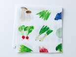 ハンカチ / vegetables