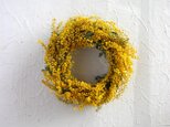 ふんわりミモザのリース’25の画像
