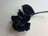 黒のミニ薔薇