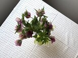 【marimekko】 muija ヴィンテージ ラウンドテーブル用 テーブルクロス / マリメッコ 廃番生地 布 丸テーブル