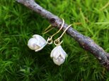 つぼみと淡水パール ピアス/イヤリング