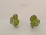 konpeito earrings(ペリドット)の画像