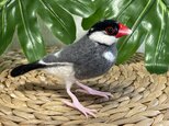 ☆mi様オーダー品☆ 羊毛フェルト桜文鳥の画像
