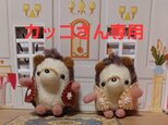 カッコさん専用の画像