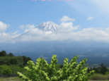 ＊v様ご依頼品の画像
