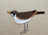ことり　原画作品の画像