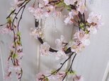 高級造花の　枝垂れ桜　リースの画像