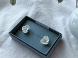 白磁 天草陶花の耳飾り 上田家の白椿