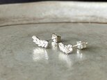 Laurier 月桂樹のピアス silver  *受注後製作*