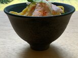 【お選びいただける】珠洲焼の飯碗