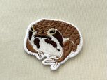 刺繍ワッペン■アメフクラガエル■蛙　カエル