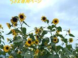 ＊ｊさま専用ページの画像
