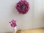 Starch Raspberry Dance Wreathの画像