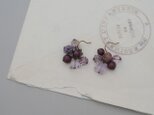 wisteria pierce