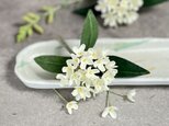 布花 白く小さな可憐な花姿。控えめな香りの銀木犀のコサージュ。