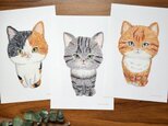 3匹の猫　(ポストカード3枚入り)　クレパス画
