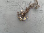 ... Dried ...Chamomile ...
