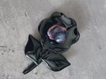 漆黒真珠のお花