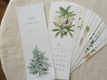 カレンダー2026 / 植物の12ヶ月