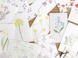 絵の花のミニカード|名刺サイズのメッセージカード。しおりにも◎ 全9種〈絵の花屋さんシリーズ〉