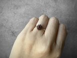 273 ヴィンテージ きらめく真紅の蕾 – シルバークラスタリング