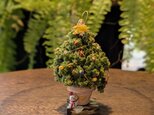 小さなツリー