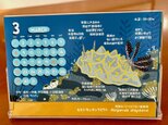 2026ウミウシ図鑑カレンダー