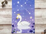 【季節のポストカード3枚セット】「７月　白鳥座」