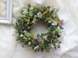 (再販2)真珠葉ミモザとオレガノのリース