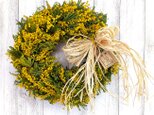 ミモザ・イタリア産ミランドールのリース