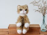 癒されネコのあみぐるみ<MINIサイズ>小さな怒りん坊フィアくん