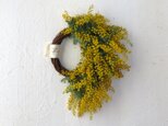flowing Mimosa Wreath