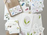 春のいろいろ紙ものセット レターセット メッセージカード シール タグ