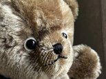 テディベア　ヴィンテージ　大の字くまさん