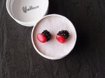【天然石刺繍／ピアス 】Red Coral × Black Spinel Earringa／レッドコーラル×ブラックスピネル