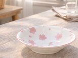 特価 Sakura 深皿【美濃焼】