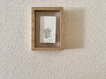 原画　ふきのとう / Butterbur sprout（額装込み）