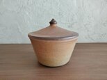塩壷 M・家形