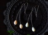 白蝶貝、もしくはクイーンコンクシェルの花つぼみピアス・サージカルステンレス・イヤリング可　～花蕾