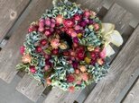 母の日 紫陽花の可愛いリース(ピンク)