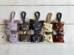 Kitten Sachet Plus #3