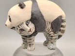 sadapachiさま専用 ベルセルク