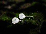 -Solar quartz- hooks