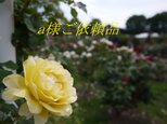 ＊a様ご依頼品