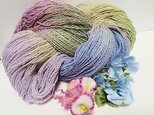 ♪花hana花♪オリジナル多色段染コットンC250gの画像