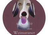 ワイマラナー《犬種名ステッカー/大型犬》の画像