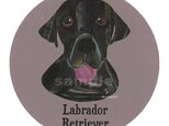 ラブラドール レトリバー/黒《犬種名ステッカー/大型犬》の画像
