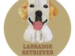 ラブラドール レトリバー /イエロー《犬種名ステッカー/大型犬》の画像